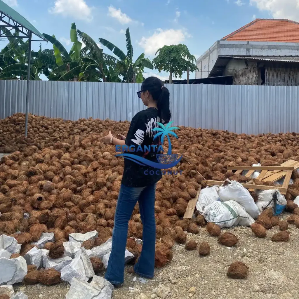 Who We Are - Erganta Coconut